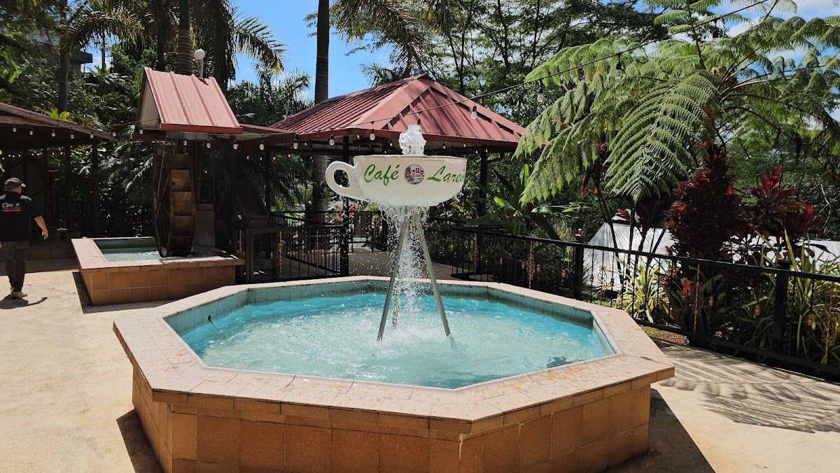 Café Lareño Torrefacción / Coffee Shop-4